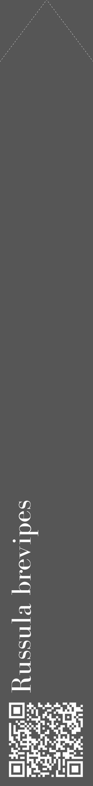 Étiquette de : Russula brevipes - format c - style blanche45_simple_simplebod avec qrcode et comestibilité - position verticale