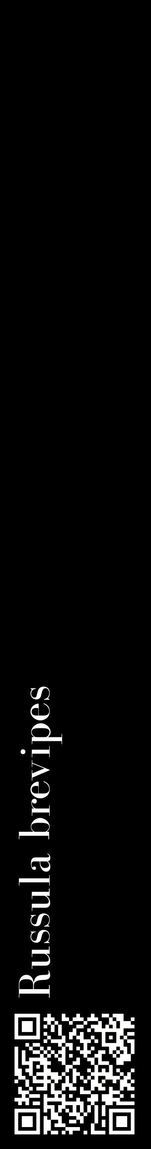 Étiquette de : Russula brevipes - format c - style blanche59_basiquebod avec qrcode et comestibilité