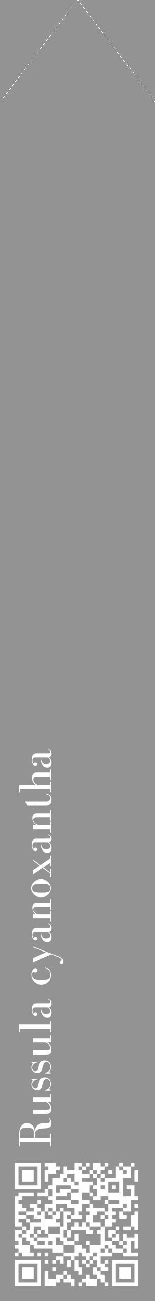 Étiquette de : Russula cyanoxantha - format c - style blanche44_simple_simplebod avec qrcode et comestibilité - position verticale
