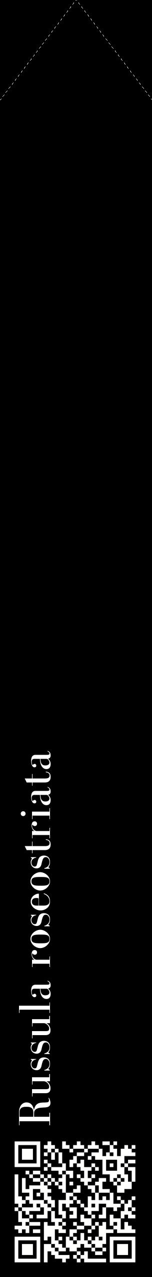 Étiquette de : Russula roseostriata - format c - style blanche59_simplebod avec qrcode et comestibilité