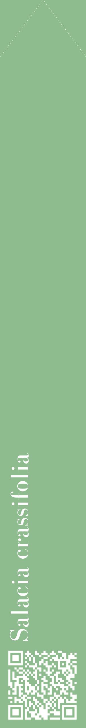 Étiquette de : Salacia crassifolia - format c - style blanche13_simplebod avec qrcode et comestibilité
