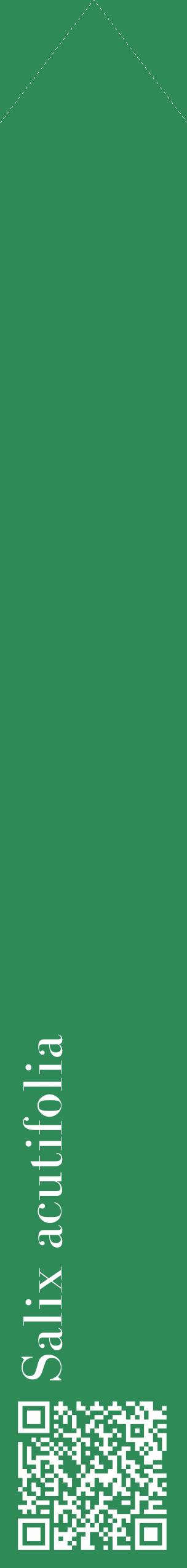 Étiquette de : Salix acutifolia - format c - style blanche11_simplebod avec qrcode et comestibilité
