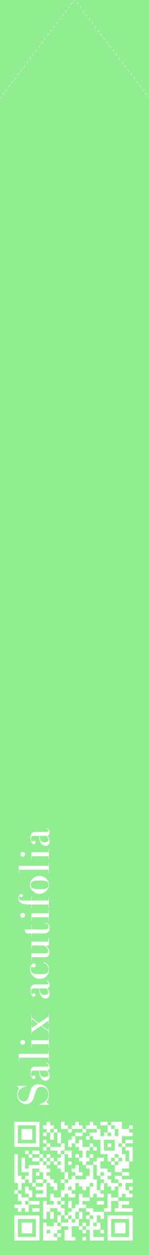 Étiquette de : Salix acutifolia - format c - style blanche15_simplebod avec qrcode et comestibilité