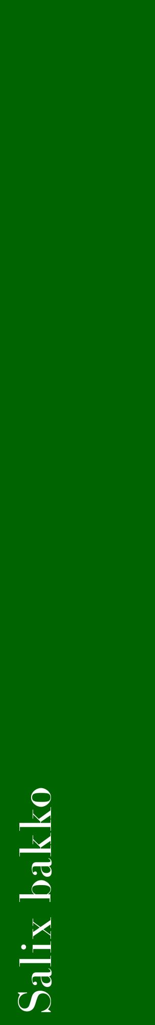 Étiquette de : Salix bakko - format c - style blanche8_basiquebod avec comestibilité