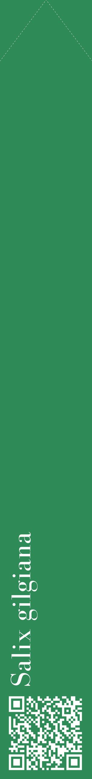 Étiquette de : Salix gilgiana - format c - style blanche11_simplebod avec qrcode et comestibilité