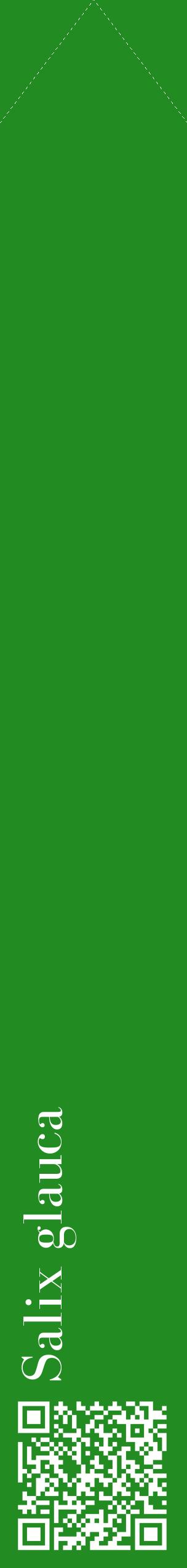 Étiquette de : Salix glauca - format c - style blanche10_simplebod avec qrcode et comestibilité