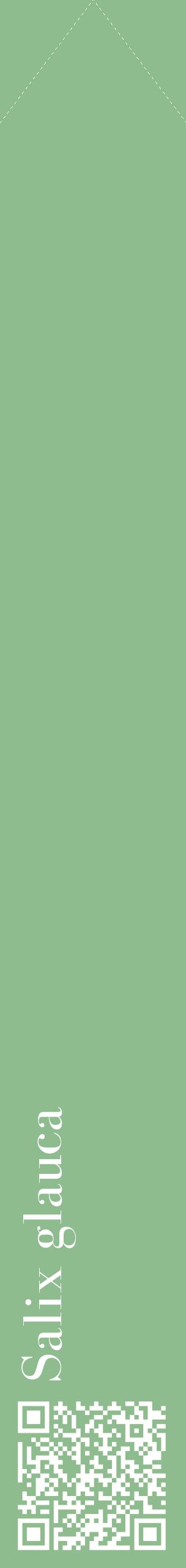 Étiquette de : Salix glauca - format c - style blanche13_simplebod avec qrcode et comestibilité