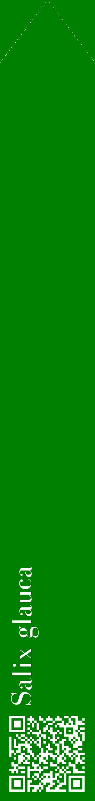 Étiquette de : Salix glauca - format c - style blanche9_simplebod avec qrcode et comestibilité