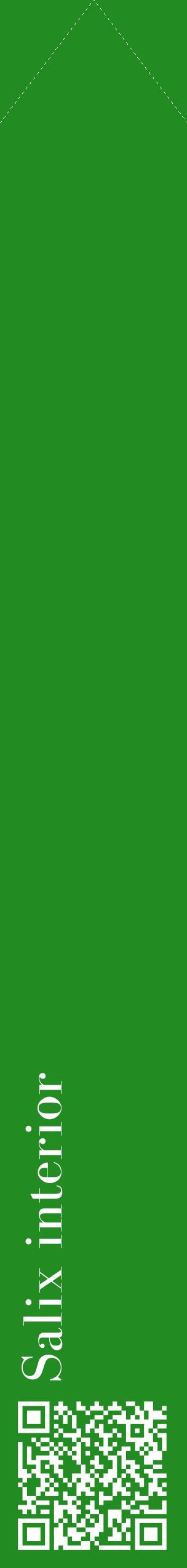 Étiquette de : Salix interior - format c - style blanche10_simplebod avec qrcode et comestibilité