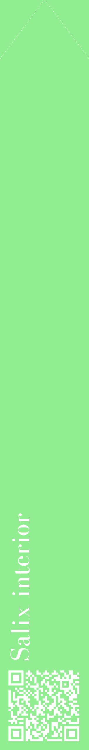 Étiquette de : Salix interior - format c - style blanche15_simplebod avec qrcode et comestibilité