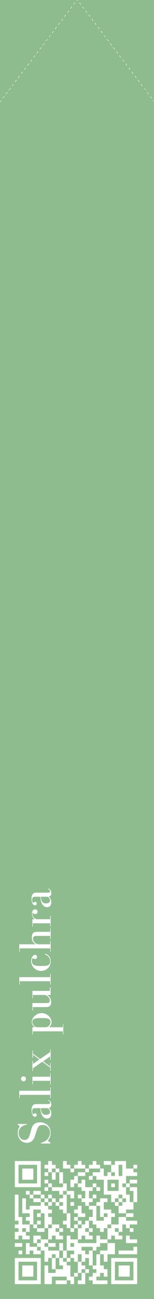 Étiquette de : Salix pulchra - format c - style blanche13_simplebod avec qrcode et comestibilité