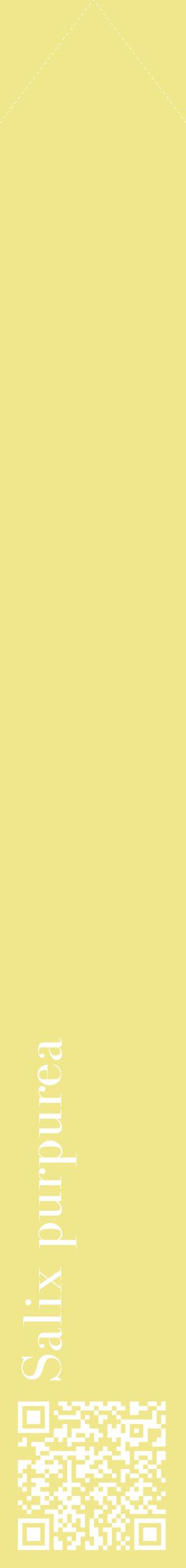 Étiquette de : Salix purpurea - format c - style blanche20_simplebod avec qrcode et comestibilité