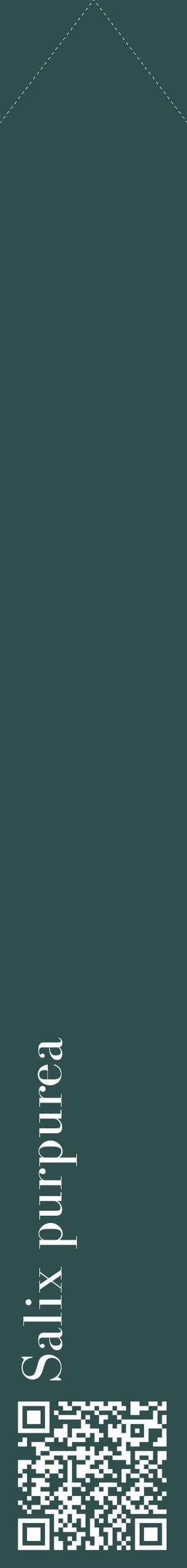 Étiquette de : Salix purpurea - format c - style blanche58_simplebod avec qrcode et comestibilité