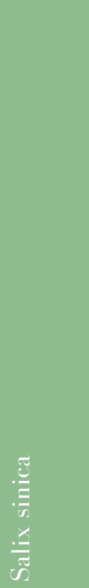 Étiquette de : Salix sinica - format c - style blanche13_basiquebod avec comestibilité