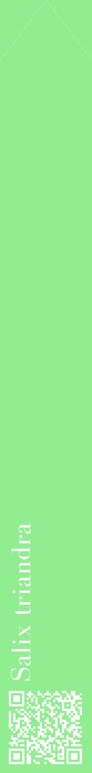 Étiquette de : Salix triandra - format c - style blanche15_simplebod avec qrcode et comestibilité
