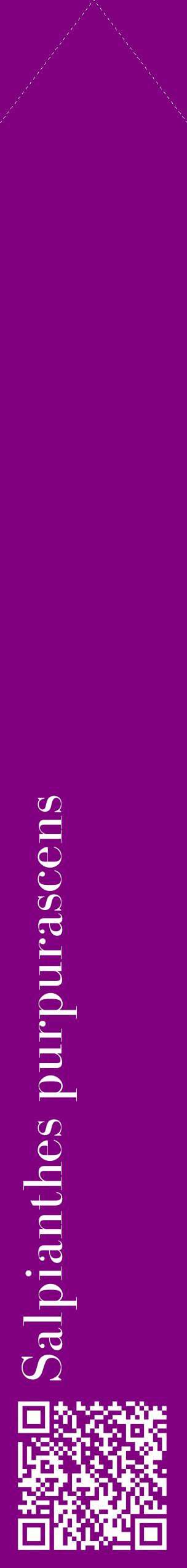 Étiquette de : Salpianthes purpurascens - format c - style blanche46_simplebod avec qrcode et comestibilité