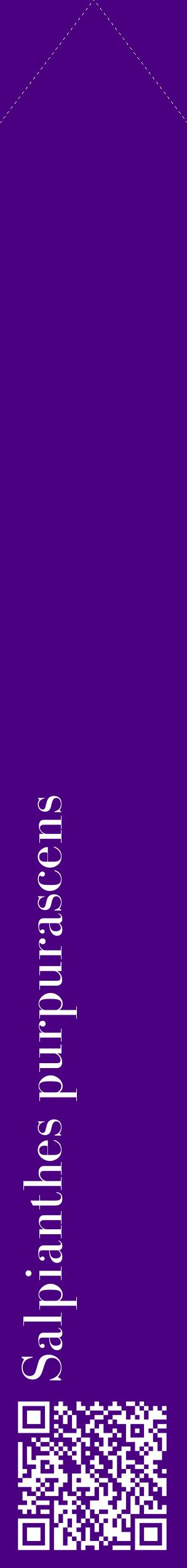Étiquette de : Salpianthes purpurascens - format c - style blanche47_simplebod avec qrcode et comestibilité