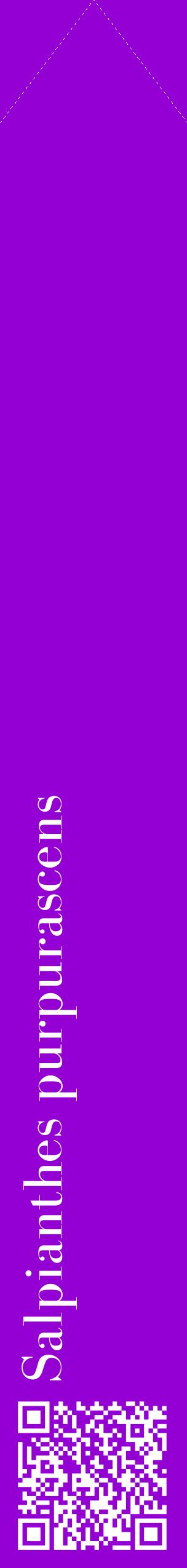 Étiquette de : Salpianthes purpurascens - format c - style blanche48_simplebod avec qrcode et comestibilité