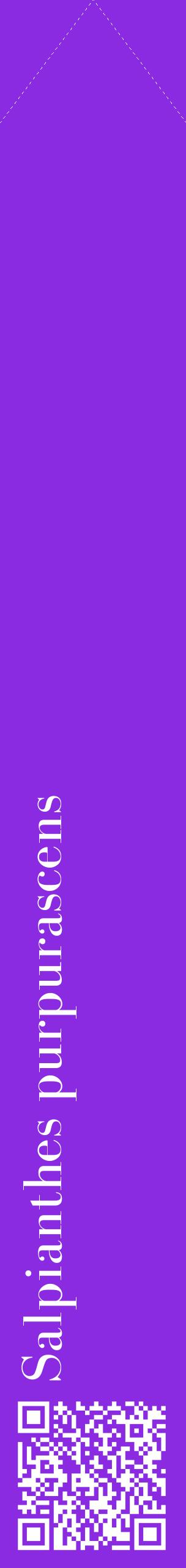 Étiquette de : Salpianthes purpurascens - format c - style blanche49_simplebod avec qrcode et comestibilité