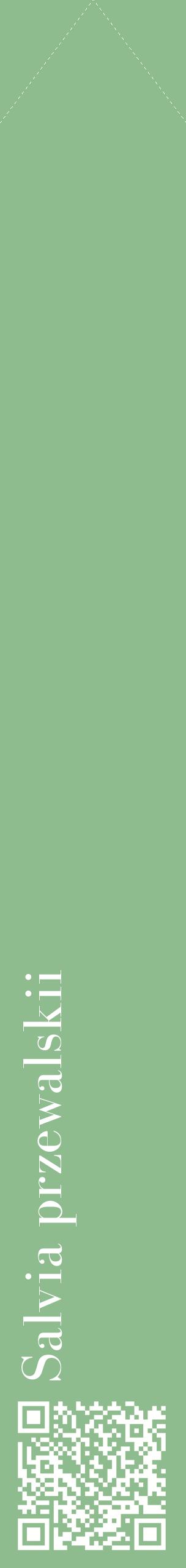 Étiquette de : Salvia przewalskii - format c - style blanche13_simplebod avec qrcode et comestibilité
