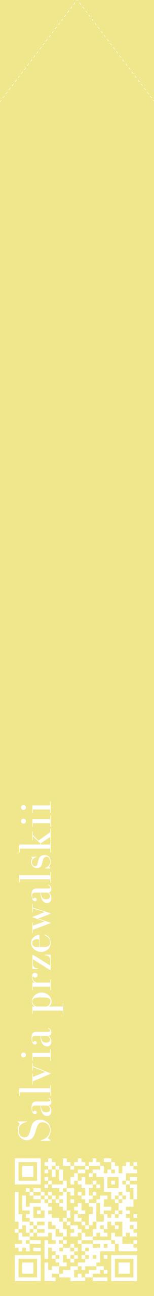 Étiquette de : Salvia przewalskii - format c - style blanche20_simplebod avec qrcode et comestibilité