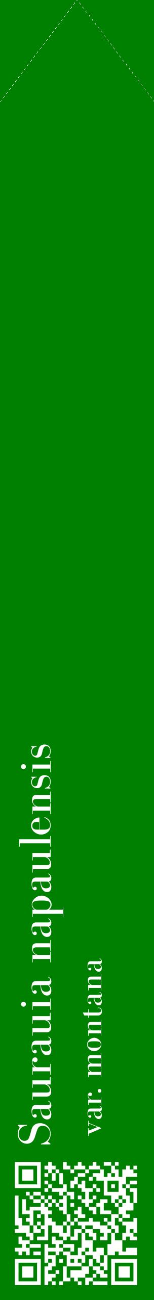 Étiquette de : Saurauia napaulensis var. montana - format c - style blanche9_simplebod avec qrcode et comestibilité