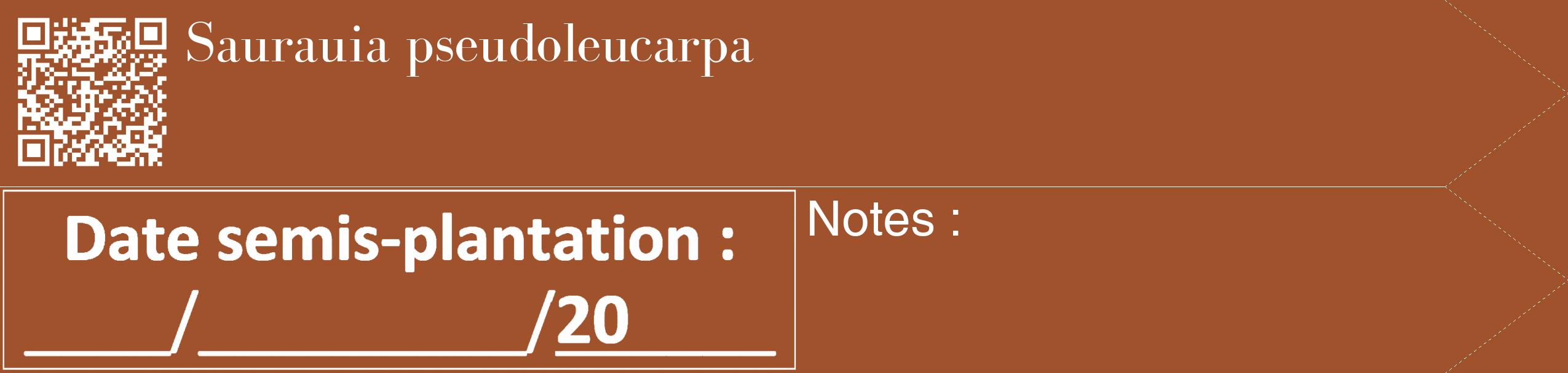 Étiquette de : Saurauia pseudoleucarpa - format c - style blanche32_simple_simplebod avec qrcode et comestibilité