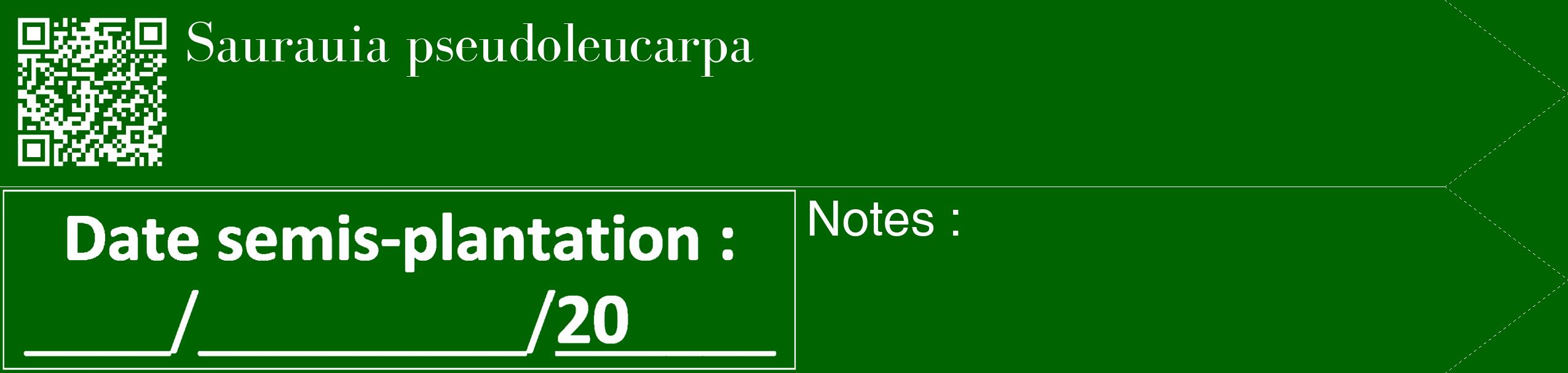 Étiquette de : Saurauia pseudoleucarpa - format c - style blanche8_simple_simplebod avec qrcode et comestibilité