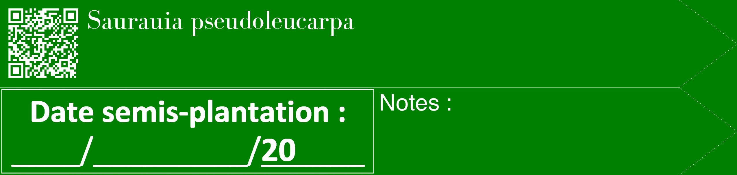 Étiquette de : Saurauia pseudoleucarpa - format c - style blanche9_simple_simplebod avec qrcode et comestibilité