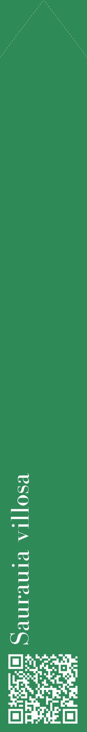 Étiquette de : Saurauia villosa - format c - style blanche11_simplebod avec qrcode et comestibilité