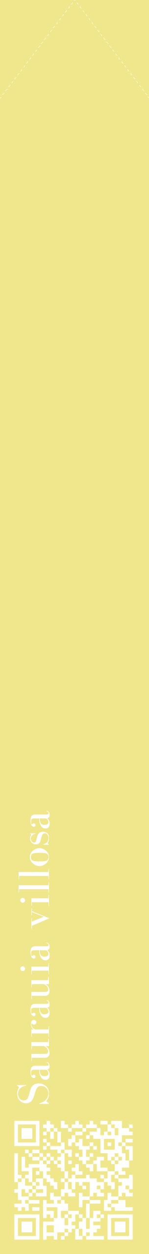 Étiquette de : Saurauia villosa - format c - style blanche20_simplebod avec qrcode et comestibilité