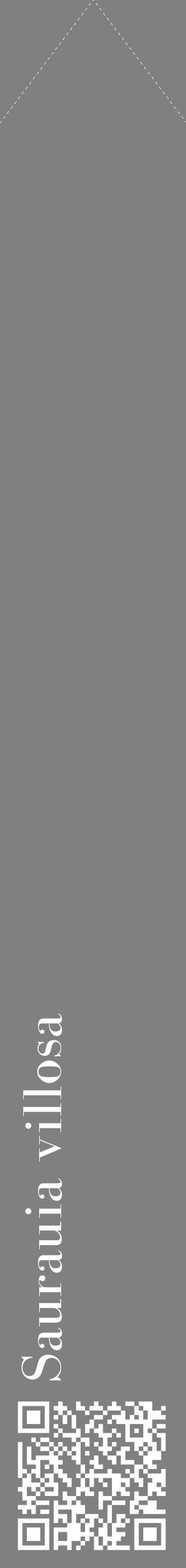 Étiquette de : Saurauia villosa - format c - style blanche57_simplebod avec qrcode et comestibilité