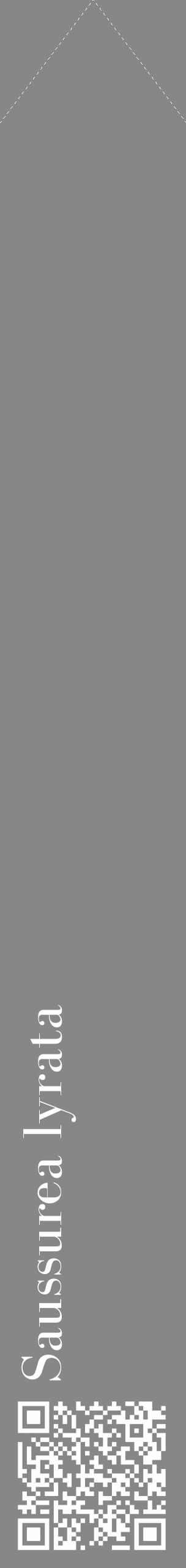 Étiquette de : Saussurea lyrata - format c - style blanche12_simple_simplebod avec qrcode et comestibilité - position verticale