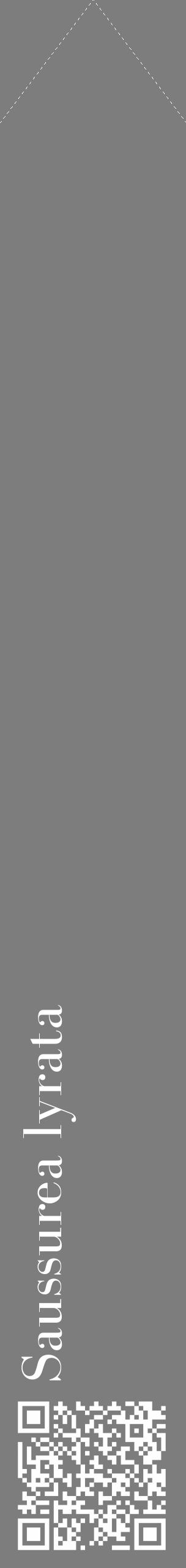 Étiquette de : Saussurea lyrata - format c - style blanche35_simple_simplebod avec qrcode et comestibilité - position verticale