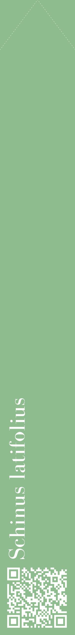 Étiquette de : Schinus latifolius - format c - style blanche13_simplebod avec qrcode et comestibilité