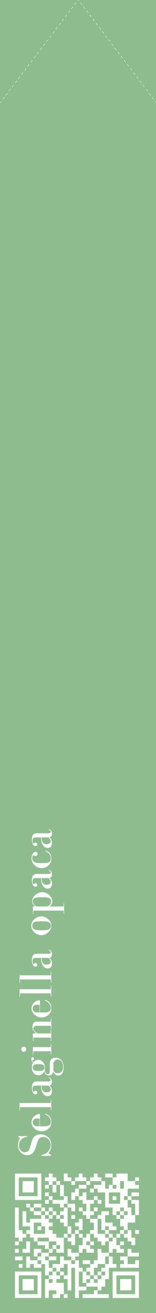 Étiquette de : Selaginella opaca - format c - style blanche13_simplebod avec qrcode et comestibilité