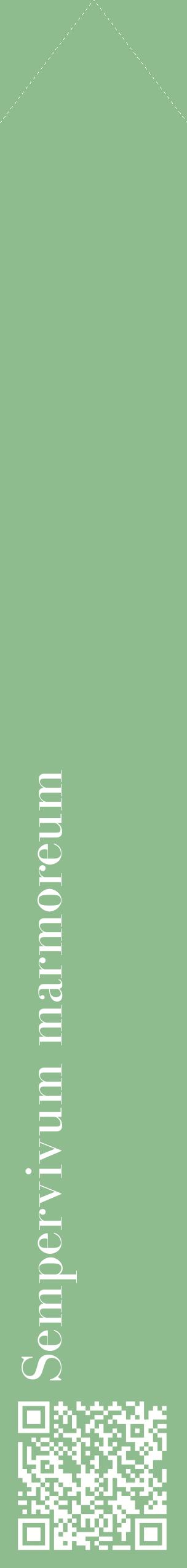 Étiquette de : Sempervivum marmoreum - format c - style blanche13_simplebod avec qrcode et comestibilité