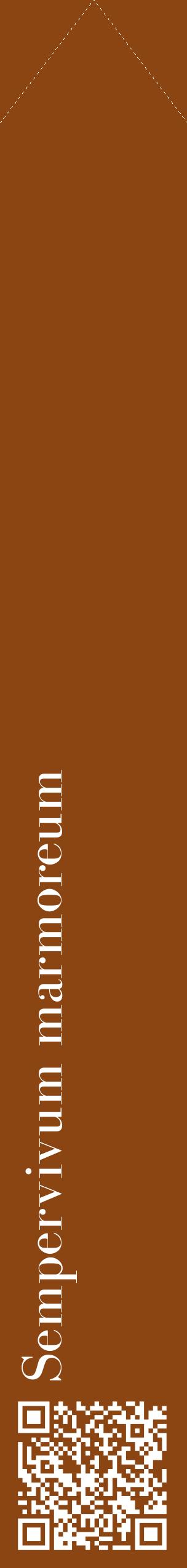 Étiquette de : Sempervivum marmoreum - format c - style blanche30_simplebod avec qrcode et comestibilité