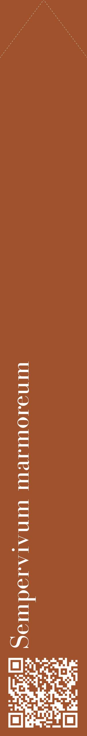 Étiquette de : Sempervivum marmoreum - format c - style blanche32_simplebod avec qrcode et comestibilité