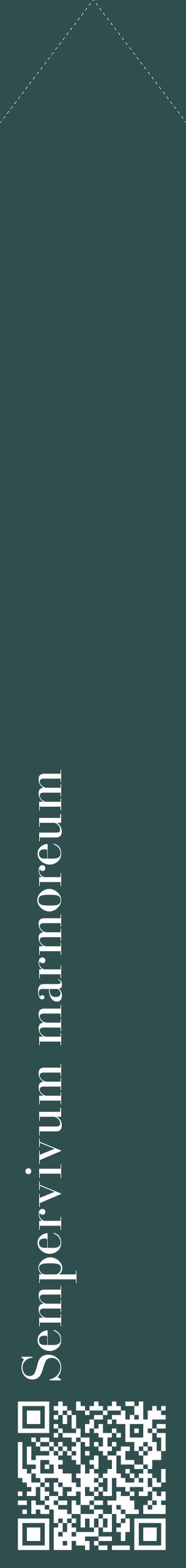Étiquette de : Sempervivum marmoreum - format c - style blanche58_simplebod avec qrcode et comestibilité