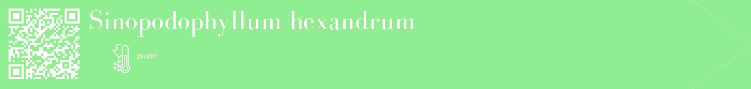 Étiquette de : Sinopodophyllum hexandrum - format c - style blanche15_simple_simplebod avec qrcode et comestibilité