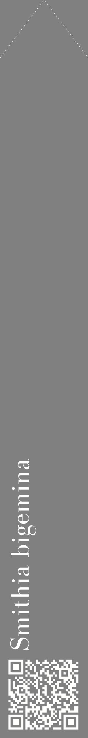 Étiquette de : Smithia bigemina - format c - style blanche57_simplebod avec qrcode et comestibilité