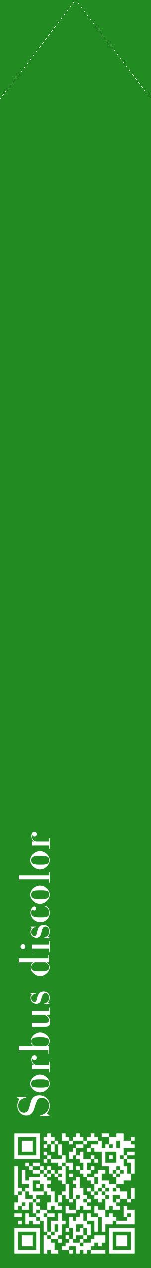 Étiquette de : Sorbus discolor - format c - style blanche10_simplebod avec qrcode et comestibilité