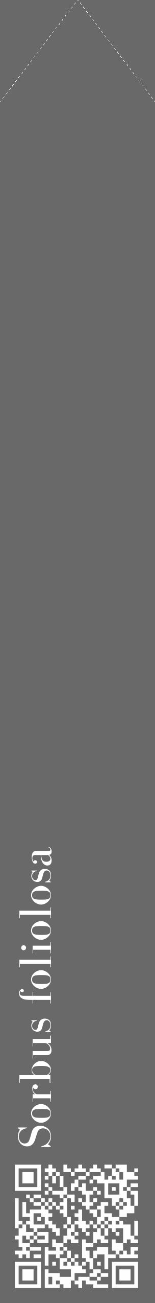 Étiquette de : Sorbus foliolosa - format c - style blanche11_simple_simplebod avec qrcode et comestibilité - position verticale