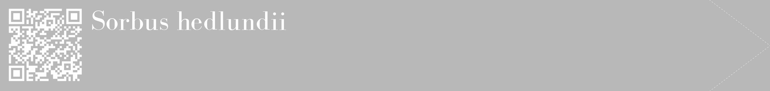 Étiquette de : Sorbus hedlundii - format c - style blanche39_simple_simplebod avec qrcode et comestibilité