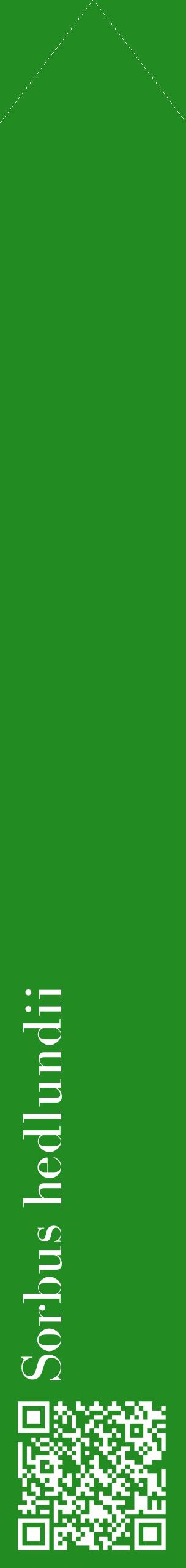 Étiquette de : Sorbus hedlundii - format c - style blanche10_simplebod avec qrcode et comestibilité