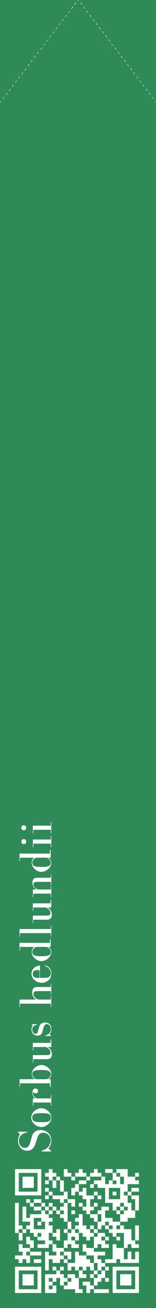 Étiquette de : Sorbus hedlundii - format c - style blanche11_simplebod avec qrcode et comestibilité