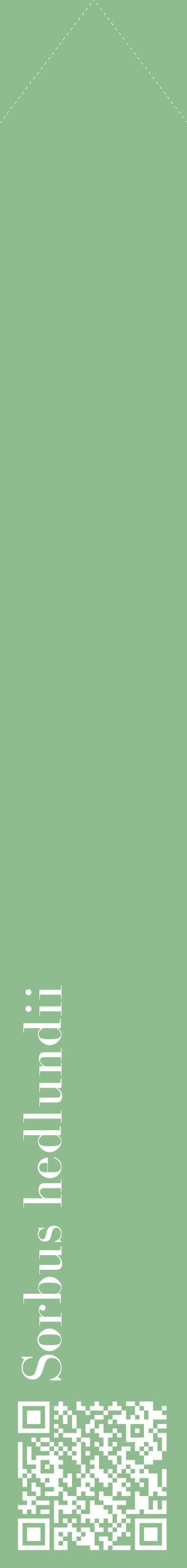 Étiquette de : Sorbus hedlundii - format c - style blanche13_simplebod avec qrcode et comestibilité