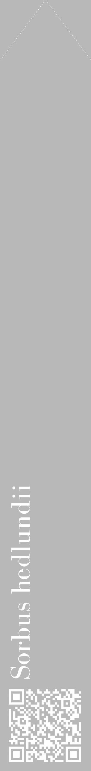 Étiquette de : Sorbus hedlundii - format c - style blanche39_simple_simplebod avec qrcode et comestibilité - position verticale