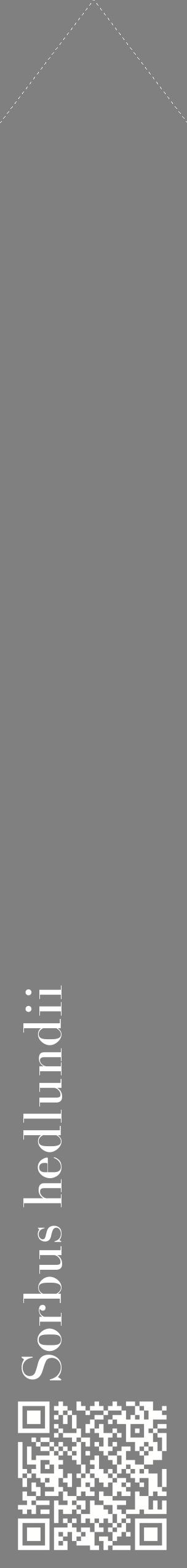 Étiquette de : Sorbus hedlundii - format c - style blanche57_simplebod avec qrcode et comestibilité